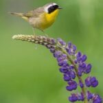 416688开奖结果最新公布,速来查看中奖详情! 1l82h