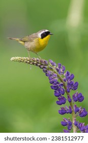 416688开奖结果最新公布，速来查看中奖详情！