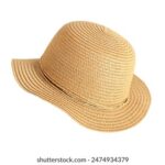 20250期开奖结果最新公布与完整号码查询 6vafp3k4c