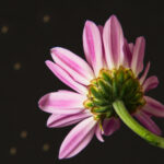 20251116开奖结果揭晓:幸运号码正式公布 av9dn1g9