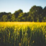 2025103期开奖号码最新公布与详细查询 g5531u