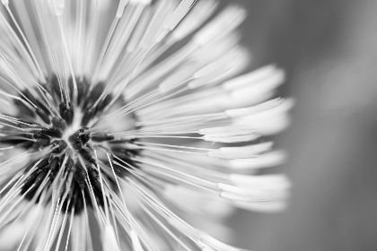 2025112期开奖结果最新公布与详细分析 2025112期开奖结果最新公布与详细分析