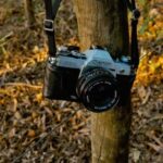 2025111期彩票开奖结果最新公布查询 ju1as5