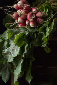 2025118期图库开奖结果查询与最新号码公布