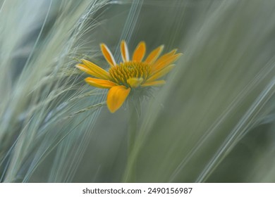 2025116期双色球开奖号码及中奖详情公布