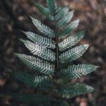 2025102期开奖结果公布:大奖花落谁家? o1q4f5