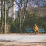 2025116期开奖号码结果查询与最新公布 pnzp8o49