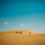 2025108期双色球开奖号码结果查询与公布 y2vj668r